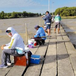 La Plata abrió una nueva temporada para la pesca federada bonaerense, confirmando que la modalidad a una mano sigue siendo una de las más técnicas y apasionantes de su calendario competitivo.