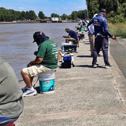 La Plata abrió una nueva temporada para la pesca federada bonaerense, confirmando que la modalidad a una mano sigue siendo una de las más técnicas y apasionantes de su calendario competitivo.