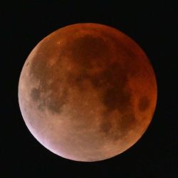 El eclipse lunar de Luna de Sangre vuelve roja la luna por un breve período. Los Ángeles, California. Foto de Frederic J. BROWN / AFP | Foto:AFP