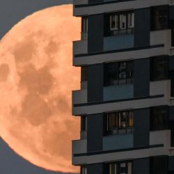 La luna se eleva en su fase gibosa creciente detrás de un edificio en Buenos Aires. Foto de Luis ROBAYO / AFP | Foto:AFP