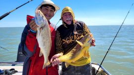 Las grandes corvinas dijeron presente y los portes hablaron por sí solos. Pero la salida no se limitó a la especie objetivo. Grandes bagres de mar, pescadillas combativas, gatuzos rendidores y hasta alguna brótola de dimensiones poco habituales completaron una variada de lujo que confirma la riqueza ictícola de la zona.
