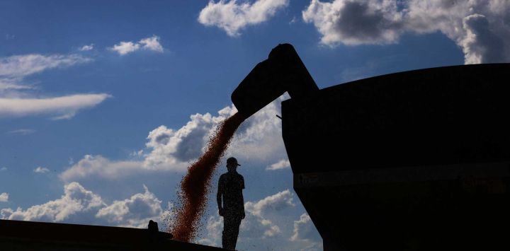 Un camión está cargado con maíz cosechado en Coxilha, estado de Rio Grande do Sul, Brasi. Foto de Silvio AVILA / AFP