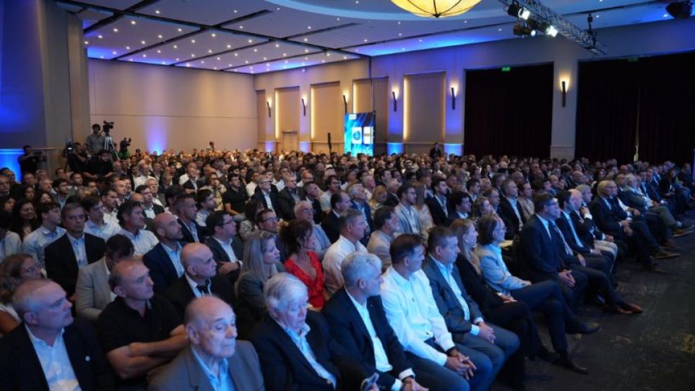 Fundación Mediterránea