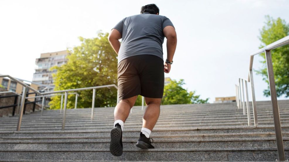 Obesidad en Argentina