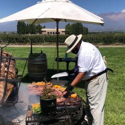 Recorrido por las bodegas en bicicleta.