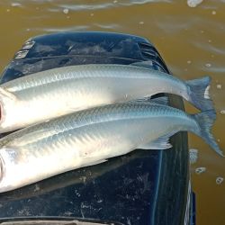 La Barrancosa combina acceso sencillo, buen entorno natural y un manejo responsable del recurso, factores que ayudan a sostener la calidad de la pesca temporada tras temporada. 