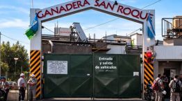 Frigorífico cerró sus puertas y echó a 100 empleados.