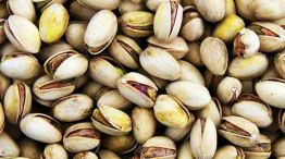 Pistacho: el auge del oro verde argentino que conquista mercados.