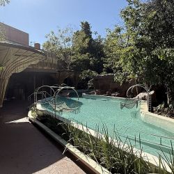 Entre Árboles, nuevo hotel boutique en Iguazú.