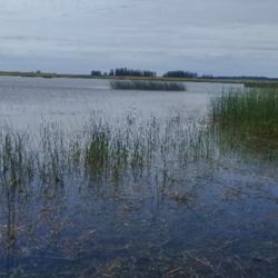 0603_mapa_pique_pesca