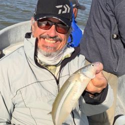 0603_mapa_pique_pesca