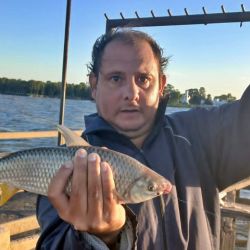 0603_mapa_pique_pesca