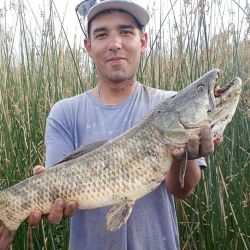 0603_mapa_pique_pesca