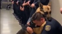 El perro que se retiró con honores de la Policía de Seguridad Aeroportuaria