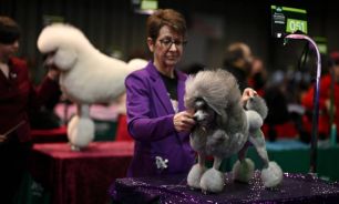 Exposición canina Crufts en el Centro Nacional de Exposiciones de Birmingham 06032026