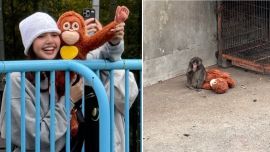 Lisa de BLACKPINK visitó a Punch, el macaco huérfano que ha conmovido al mundo