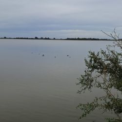 En Bragado, a finales de año pasado, el nivel del agua había aumentado tanto que incluso fue necesario construir un bypass para permitir que el excedente escurriera y evitar inundaciones en los campos cercanos. Hoy la situación es exactamente la opuesta.