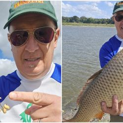 Todo indica que estas pueden ser de las últimas salidas fuertes de carpas, ya que en poco tiempo comenzará a activarse el esperado pejerrey del Río de la Plata, especie que cada año convoca a miles de pescadores. 