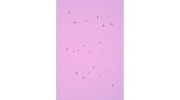 08_03_2026_silvia_gurfein_cedoc_g