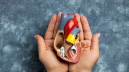 Día Mundial del Riñon