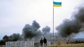 Los dinosaurios siguen aquí