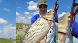 Todo indica que estas pueden ser de las últimas salidas fuertes de carpas, ya que en poco tiempo comenzará a activarse el esperado pejerrey del Río de la Plata, especie que cada año convoca a miles de pescadores.