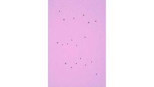 08_03_2026_silvia_gurfein_cedoc_g