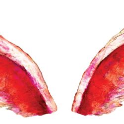 8M Ring The Bell junto a Red Shoe Movement