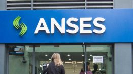Anses 09032026