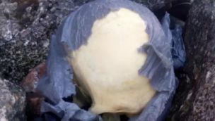 Macabro hallazgo: encuentran un cráneo humano en la playa.