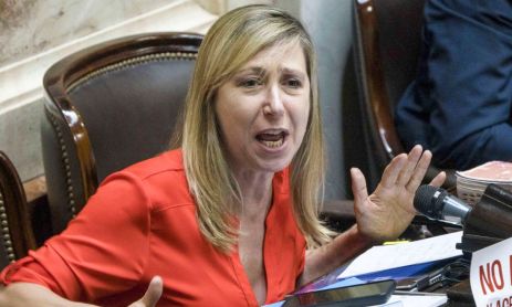 Myriam Bregman, diputada nacional del FIT-U (Frente de Izquierda y de Trabajadores - Unidad)