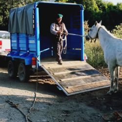 El intendente de Bariloche lanzó el Programa Municipal de Adopción Responsable de Equinos