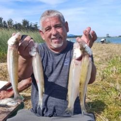 Con buenas poblaciones de pejerrey y las primeras señales positivas en el pique, estos espejos vuelven a posicionarse como dos grandes alternativas para los pescadores del centro-sudeste bonaerense.