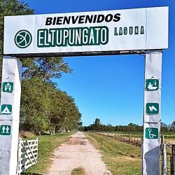 Con buenas poblaciones de pejerrey y las primeras señales positivas en el pique, estos espejos vuelven a posicionarse como dos grandes alternativas para los pescadores del centro-sudeste bonaerense.