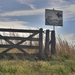 Con buenas poblaciones de pejerrey y las primeras señales positivas en el pique, estos espejos vuelven a posicionarse como dos grandes alternativas para los pescadores del centro-sudeste bonaerense.