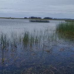 Con buenas poblaciones de pejerrey y las primeras señales positivas en el pique, estos espejos vuelven a posicionarse como dos grandes alternativas para los pescadores del centro-sudeste bonaerense.