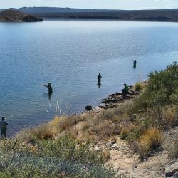 En los últimos años, Neuquén ha sido reconocida por el trabajo sostenido en capacitación, promoción y desarrollo de la pesca deportiva, generando espacios formativos que permiten que nuevos pescadores se incorporen a la actividad y que otros puedan profesionalizar su práctica. 