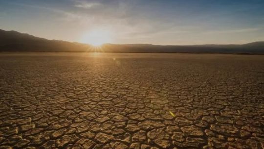 Porqué el cambio climático hace que nazcan menos varones.