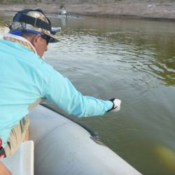 Los ríos Río Dulce y Salado ofrecen condiciones ideales para la pesca deportiva, generando un circuito turístico que involucra a guías de pesca, alojamientos rurales, prestadores de servicios, comercios, gastronomía y transporte. Todos estos sectores encuentran en esta actividad una importante fuente de trabajo y desarrollo local.