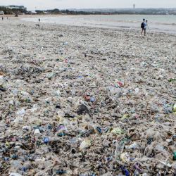 Residuos marinos y desechos plásticos arrastrados a la costa durante la temporada de monzones cubren la playa de Jimbaran en la isla turística de Bali, Indonesia. | Foto:Lana Priatna / AFP