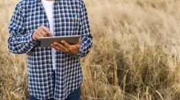 Productor agropecuario