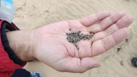 Debaten prohibir el plomo en la pesca y la caza por su impacto en la salud y la fauna