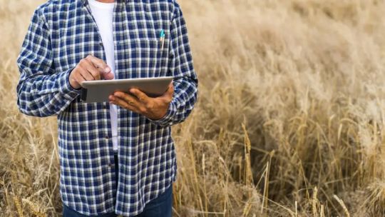 Fuerte presión fiscal en el agro: cómo impactan los costos y los impuestos