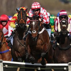 El jinete James Bowen, montado en Jingko Blue (centro), salta una valla para liderar y ganar la BetMGM Cup Handicap Hurdle en el Festival de Cheltenham, en el hipódromo de Cheltenham, en Cheltenham, oeste de Inglaterra. | Foto:Adrian Dennis / AFP