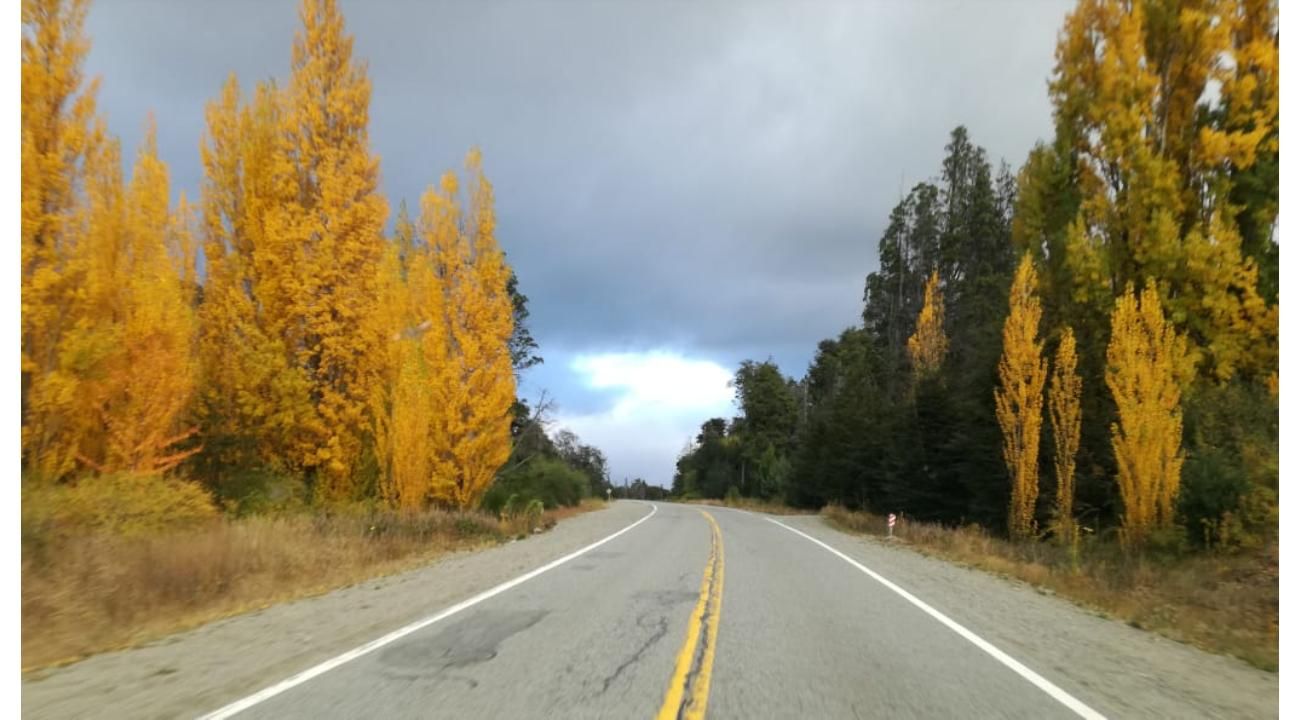 Otoño en Bariloche: cuando la Patagonia se prepara para el invierno