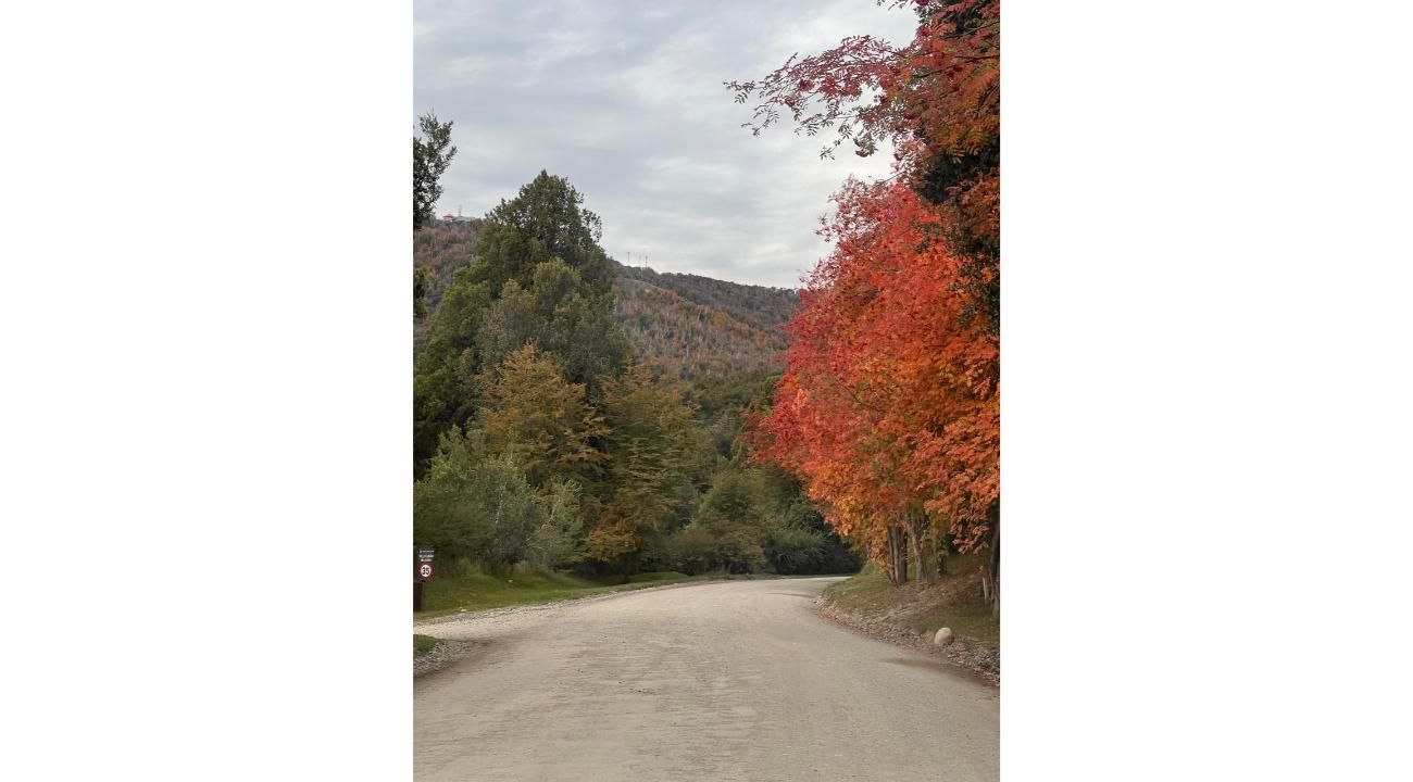 Otoño en Bariloche: cuando la Patagonia se prepara para el invierno