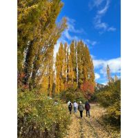 Otoño en Bariloche: cuando la Patagonia se prepara para el invierno