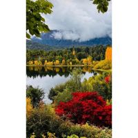 Otoño en Bariloche: cuando la Patagonia se prepara para el invierno