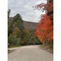 Otoño en Bariloche: cuando la Patagonia se prepara para el invierno