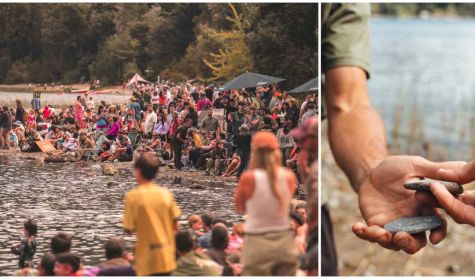 Competencia de sapitos